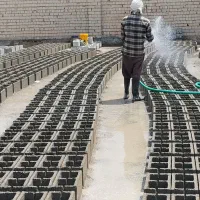 تیرچه و بلوک زنی