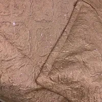 روتختی تاچ