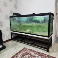 شیشه آکواریوم