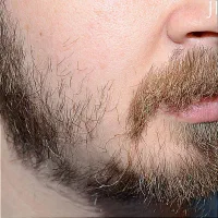 ریشاتو از نو بساز
