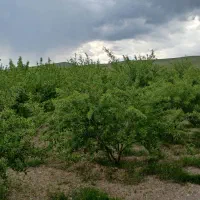 ویلایی|فروش دفتر صنعتی، کشاورزی، تجاری|تبریز, |دیوار