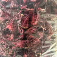 غنچه چای ترش