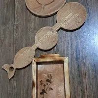 اردوخوری وسینی نو