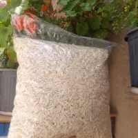 پوشال روسی ، پرنده و حیوانات خانگی