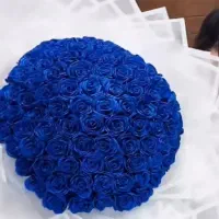 گل های باکسی تورشیک