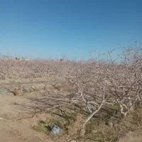 فروش زمین