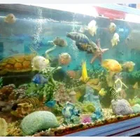 آکواریوم خیلی بزرگ و کوچک