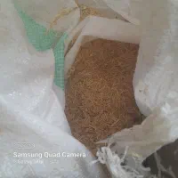 کاه وگندم دیم بشرط