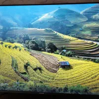 تلوزیون هوشمند دوو ۶۵ اینچ مجهز به گوگل تی وی