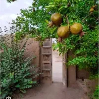 مسکونی مناسب آرایشگاه زنانه و ..