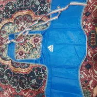 هوگو