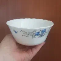 پیاله ها قیمت استسنایی