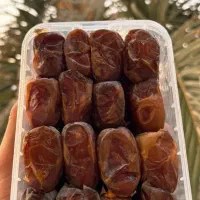 رطب کبکاب تازه دشتستان & ارسال به تهران
