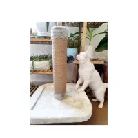 اسکرچر گربه در پت شاپ