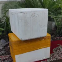 یخدون|ظروف نگهدارنده، پلاستیکی، یک‌بارمصرف|شادگان, |دیوار