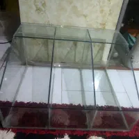 اخور اجیل خوری و حبوبات