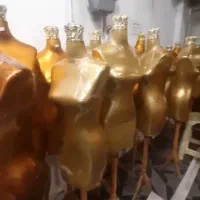 ۷۵عدد مانکن در حد تازه