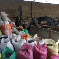استخدام کارگر ساده