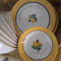 سرویس ملامین