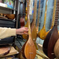 سه تار در حد نو