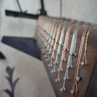 سنتور حرفه ای میثم علیپور