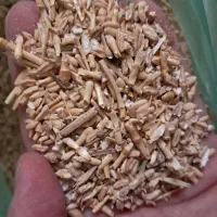 خوراک دام کاه و کزل