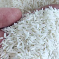 برنج هاشمی سورتینگ شده درجه یک
