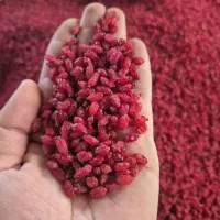 زرشک پفکی صادراتی