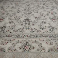 وسایل شخصی پشتی فرش وسرخ کن