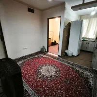 سوییت ۴۰ متری،بخت آزاد
