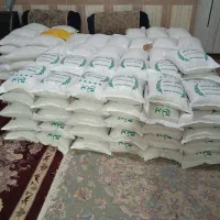 ساری  بابل شمال مینوشت بهترین برنج طارم هاشم