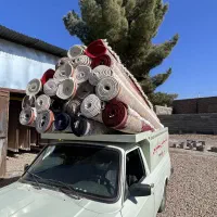 قالیشویی پاتریس