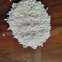 برنج هاشمی ، قلوه حسنی، ریزه اردی