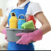 سایر نظافت
