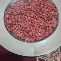 لوبیا