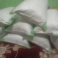 گیاه