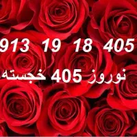 0913.19.18.405|سیمکارت|رفسنجان, |دیوار