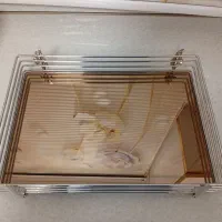 سینی آینه‌ای