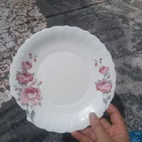 پیش دستی آرکوپال