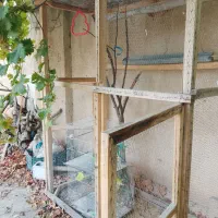 قفس بزرگ برای پرندگان