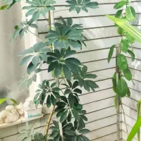 حراج گل سوسن وشفلرا از ۳۰۰تا۷۵۰