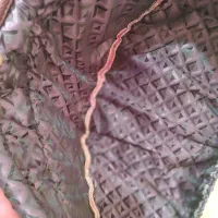 کالسکه|کالسکه و لوازم جانبی|پردیس, فاز ۱۱|دیوار