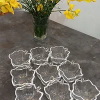 ظروف پذیرایی