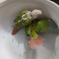 گرینچیک