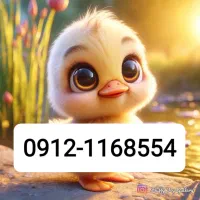 0912.116.8554 نصف قیمت فوری