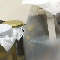 ترشی|خوردنی و آشامیدنی|خورموج, |دیوار