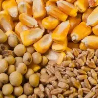 فروش نهاده