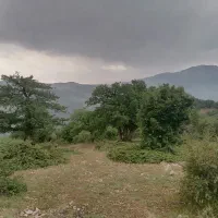 طبیعت گردی