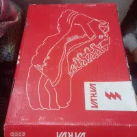کفش کار