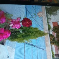 سرامیک کاری موزئیک چمنی سنگ زمانت با قرارداد